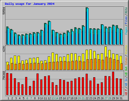 Daily usage for January 2024