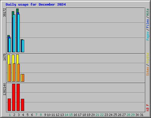 Daily usage for December 2024