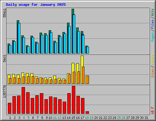 Daily usage for January 2025