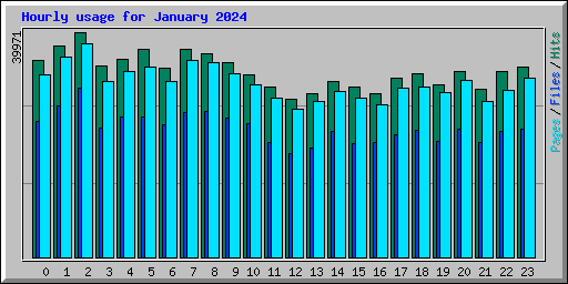 Hourly usage for January 2024