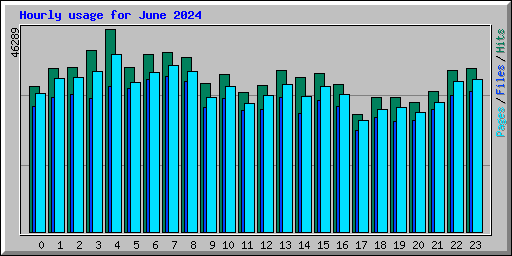 Hourly usage for June 2024