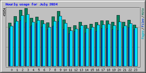 Hourly usage for July 2024