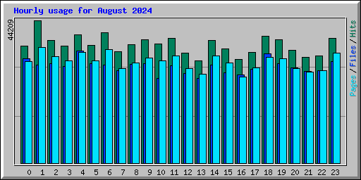 Hourly usage for August 2024