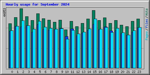 Hourly usage for September 2024