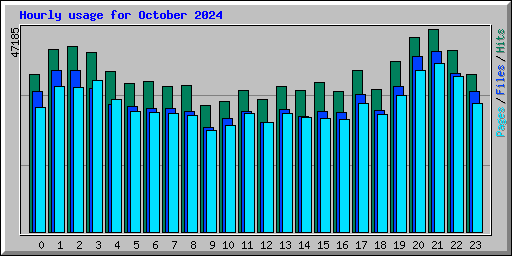 Hourly usage for October 2024