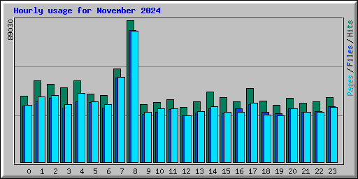 Hourly usage for November 2024