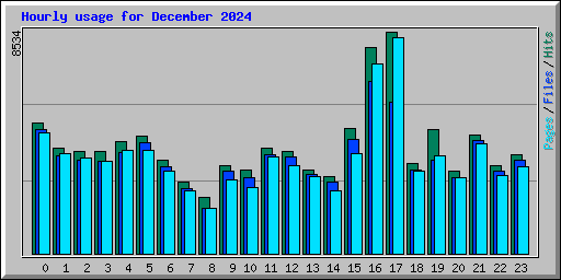 Hourly usage for December 2024