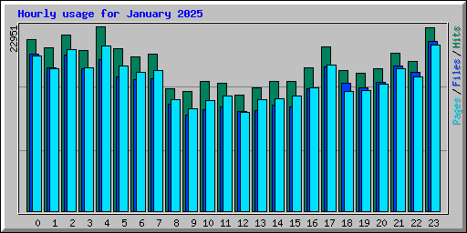 Hourly usage for January 2025