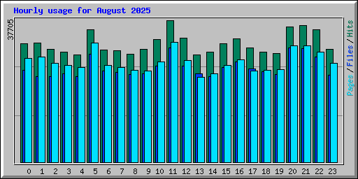 Hourly usage for August 2025