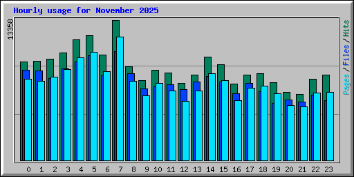 Hourly usage for November 2025