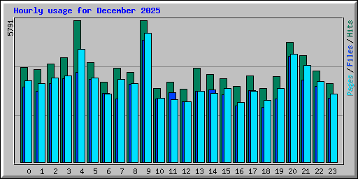 Hourly usage for December 2025