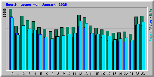Hourly usage for January 2026