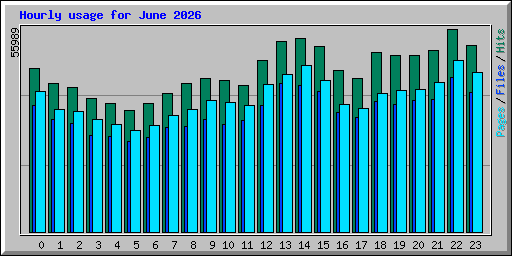 Hourly usage for June 2026