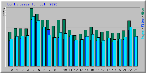 Hourly usage for July 2026