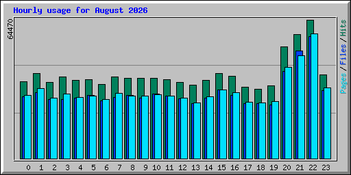 Hourly usage for August 2026